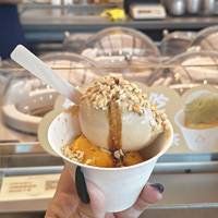 MILES Vente directe d'usine Vente à chaud Pro V4 Barre avant Économe en énergie Équipement écologique Machine à crème glacée Gelato