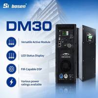 Module d'amplificateur de puissance pour haut-parleur à double canal Sinbosen DM30, 1500W, classe D, pour subwoofer