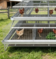 Cage à poules pondeuses de type A avec réservoir d'eau en plastique, installation facile, cage en batterie pour l'élevage avicole