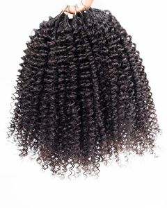 Nouvelle Conception 2026 – Extensions de Cheveux Humains au Crochet Pré-Bouclées, Effet Plumes Frisées, pour Tresses, Couleur Naturelle - Product Image 6