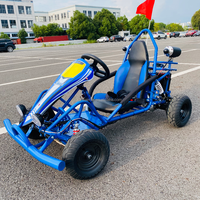 Go Kart de Alta Calidad, Motocicleta Eléctrica de 500w, Buggy Todoterreno para Dunas de Playa para Adultos