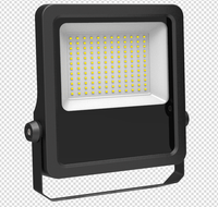 Reflector LED RGB Industrial para Exteriores, Resistente al Polvo, con Sensor de Movimiento, IP66, 50W 100W 150W 200W 300W 400W, para Pistas de Pádel