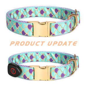 Collar de perro de nailon recargable por USB, luz <span class=keywords><strong>LED</strong></span>, estampado personalizado, correa de perro intermitente luminosa ajustable de lujo que brilla en la oscuridad - Product Image 2