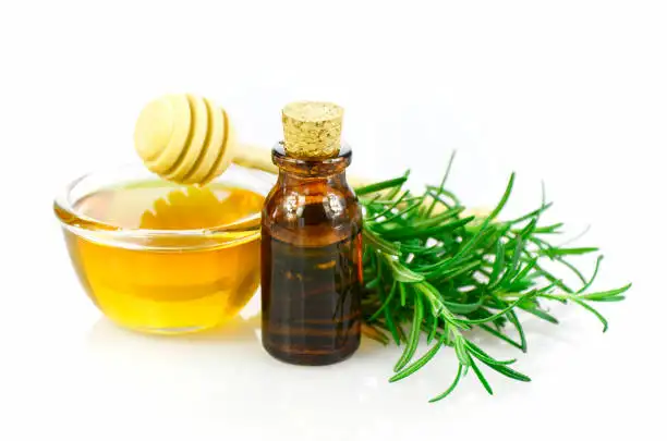 GMP und ISO9001 Direktverkäufe von Herstellern OEM/ODM organisches Ätherisches Öl Rosemary Öl für Haarwachstum und Speichervermögen