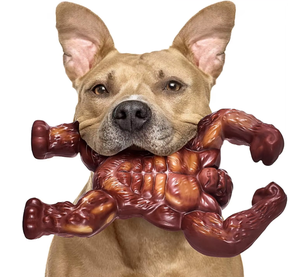 Ban Đầu Vật Nuôi Nhà Sản Xuất Bền Cơ Bắp Con Chó Người Đàn Ông Nylon Con Chó Đồ Chơi Tương Tác Cắn Kháng Không Thể Phá Hủy Con Chó Chew Đồ Chơi - Product Image 2