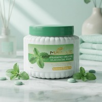 OEM Menthe Verte Rafraîchissante Exfoliante Élimine les Peaux Mortes Éclaircissante Hydratante Masque Exfoliant à l'Argile Visage et Corps pour Hommes et Femmes