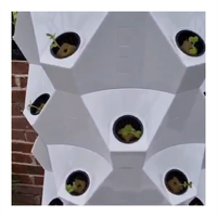 Système de jardinage aéroponique vertical amélioré pour intérieur/extérieur, petite culture hydroponique sans sol pour la culture agricole
