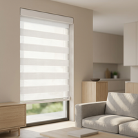Persianas Enrollables Zebra de Doble Capa con Filtro de Luz y Varios Colores, Modernas para Ventanas Francesas