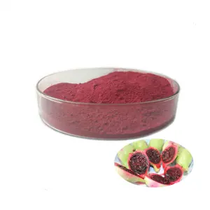 QY Herb Wholesales Nature Opuntia ficus-indica Powder Prickly Pear Extract 1% Indicaxanthin