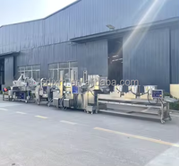 Automatische elektrische gas LPG diesel friteuse met aangepaste capaciteit voor continue frituurlijn voor de verwerking van gefrituurd voedsel