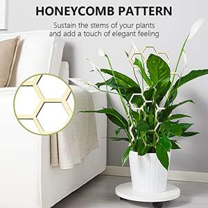 <span class=keywords><strong>Support</strong></span> de plante grimpante en <span class=keywords><strong>bois</strong></span> moderne de 30 cm, cadre créatif pour plantes grimpantes, <span class=keywords><strong>support</strong></span> de fleurs, <span class=keywords><strong>support</strong></span> de pot de jardin, poteaux de <span class=keywords><strong>support</strong></span> fixes - Product Image 5