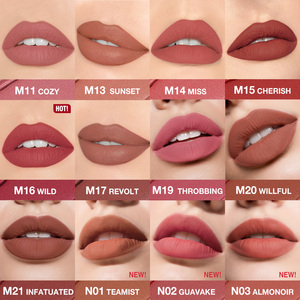 O.TW o.o cao cấp Matte Lip <span class=keywords><strong>Stick</strong></span> không dính không thấm nước lâu dài khoáng dựa trên nhung môi trang điểm 4g Trọng lượng tịnh - Product Image 6