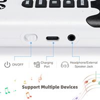 Wholesale 49-Key Portable 8 Tones 6 Educational Demo Digital Electric Roll up Keyboard Piano With Rechargeable Battery