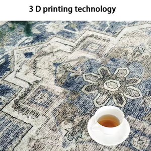 Hengxuan stampato tapis en laine morbido tappeto in lana sintetica tappeto cashmere - Product Image 4