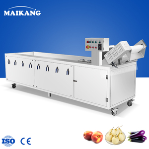 Machine de Stérilisation et Désodorisation à l'Ozone pour Aliments : Équipement de Lavage pour Fruits, Légumes, Viandes et Fruits de Mer Frais et Sûrs - Product Image 5