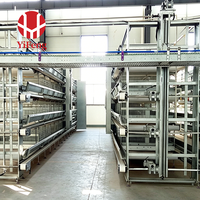 Cage à poulets de chair de type H, cage en batterie pour poulets de chair, 3 niveaux, avec plancher à lattes en plastique, alimentation et abreuvement automatiques, et système de collecte des excréments. Vente en gros.