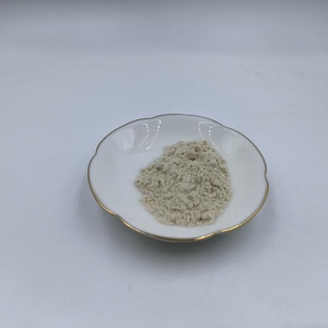 Suministro de Fábrica de Enzima Pancreatina 4X, 8X, 10X, 12X CAS 8049-47-6, Polvo de Pancreatina - Product Image 3
