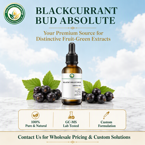 <span class=keywords><strong>Absoluto</strong></span> Natural de Capullo de Grosella Negra (Ribes Nigrum) para Perfumes, Cosméticos, Fragancias para el Hogar, Aromaterapia, Fabricación de Velas y Jabones - Product Image 4