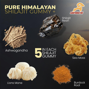 Gomitas de Shilajit del Himalaya OEM con Musgo Marino, Ashwagandha, Minerales Traza, Raíz de Bardana Orgánica y Champiñón Melena de León - Product Image 4