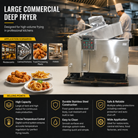 Pabrik Penggorengan Gas Langsung dari Pabrik, Penggorengan Gas Stainless Steel Komersial, Mudah Dioperasikan, untuk Gerobak Makanan, Kentang Goreng Iris