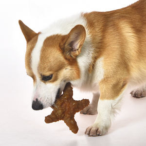 天然ゴム製犬用おもちゃメーカー 環境に優しい無毒の犬用おやつディスペンサー 歯ブラシ 歯のクリーニングおもちゃ - Product Image 5