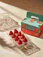 Boîtes de transport pour fraises en vrac, coques en plastique transparent robustes avec fermeture sécurisée et ventilation pour éviter les éraflures