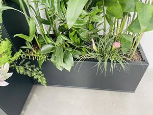 <span class=keywords><strong>Jardinière</strong></span> surélevée décorative en alliage d'aluminium pour l'extérieur, bac à plantes pour légumes, taille personnalisable - Product Image 6