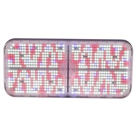 Geavanceerde 800W instelbare spectrum LED kweeklampen voor verbeterde roosgroei in kas- en tuinbouwverlichting