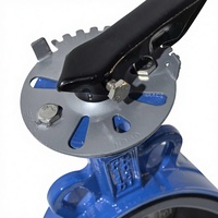 Joint EPDM Fonte ductile Manuel PN16 Vanne Plaquette DN50-DN1000 Traitement de l'Eau Vanne Papillon