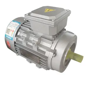 1Hp 3 Phase Motor 0.75Kw Electric Motor For Milling Machine