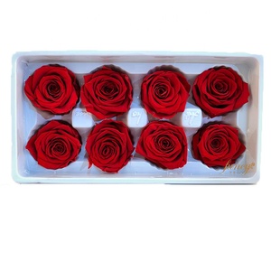 Rose Rosse Stabilizzate Eterne all'Ingrosso dello Yunnan per Laurea, Halloween, <span class=keywords><strong>Festa</strong></span> del <span class=keywords><strong>Papà</strong></span>, <span class=keywords><strong>Festa</strong></span> della Mamma, Pasqua - Ecologiche - Product Image 3