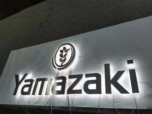 ミニLEDネオンライトビルボードステンレス鋼バックルミナスワード樹脂モール会社病院パークデコレーション用 - Product Image 5