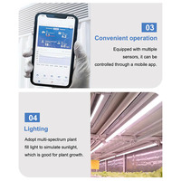 Ferme hydroponique de fraises et de laitues HNOC Strawberry Wheat Grow 20 pieds 40 pieds dans un conteneur d'expédition