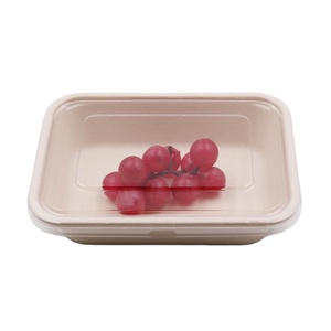 bio degradable disposable food takeout containers with lids