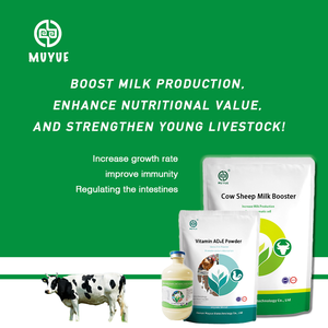 Aditivo en Polvo Vegetal para Gallinas Ponedoras MUYUE, Potenciador de Leche, Aminoácidos y Enzimas de Grado Alimenticio, Reduce los Costos de Alimentación, Suplementos - Product Image 5