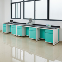 Mesa de Laboratorio Personalizada de Acero para Montaje en Suelo, Resistente a Ácidos, Álcalis y Corrosión, de Alta Calidad