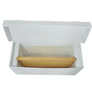 Caixa de abelha de mel para colmeia de abelha, ferramentas apícolas de plástico corrugado Nuc, caixa para colmeia de abelha
