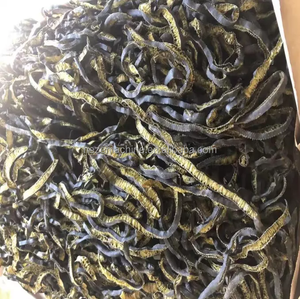 Cortadora Comercial Eléctrica de Algas Marinas, Repollo, Cochayuyo, Chalota, <span class=keywords><strong>Convolvulus</strong></span> Acuático, Máquina Cortadora de Vegetales, Precio - Product Image 3