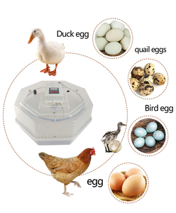 Incubadora de plantas portátil y práctica de alta calidad y buena reputación con 60 huevos de gallina a la venta ahora - Product Image 5