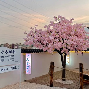 Arbre de <span class=keywords><strong>cerisier</strong></span> artificiel blanc et rose, style réaliste, en soie, moderne, personnalisé, 5 m, extérieur, pour la remise des diplômes, la Saint-Valentin - Product Image 6