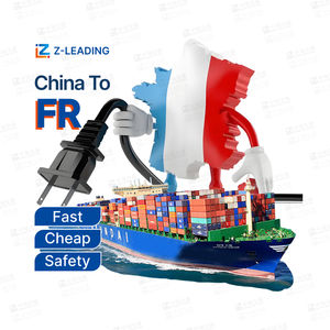 حلول لوجستية مخصصة LCL + Express DDP/DAP خزانة كاملة خدمات التخليص الجمركي وكيل النقل شركة لوجستية - Product Image 6