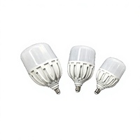 Ampoules LED T160 à très haute luminosité, puissance élevée 80W 100W 200W, 115 LM/W