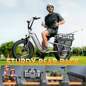 Vélo <span class=keywords><strong>Cargo</strong></span> Électrique 250W 48V 15Ah avec Porte-Bagages Arrière, Expédition Rapide depuis l'Entrepôt UE, Certifié EN15194 - Product Image 6