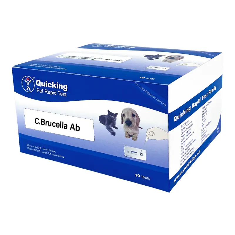 Brucellosis testi canis köpek kullanımı brucella antibody hızlı test veteriner ekipmanları/quickingbio de prueba rapida