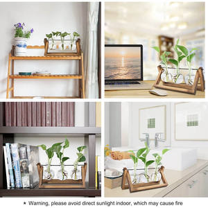 Estação de Propagação de Plantas, Terrário de Plantas com suporte de madeira, plantador para decoração de jardim, escritório doméstico, 3 vasos de vidro com lâmpadas - Product Image 2