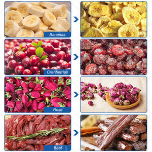 ORME Horno de secado de alimentos para pollo y especias, Máquina de secado de yam, Máquina secadora de hojas de yuca para albaricoques - Product Image 4