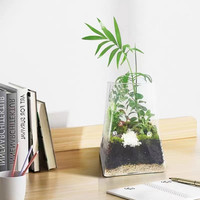 Verre transparent affichage de bureau Terrarium pot carré décor à la maison planteur pour la croissance des plantes hydroponiques salle à manger Vase