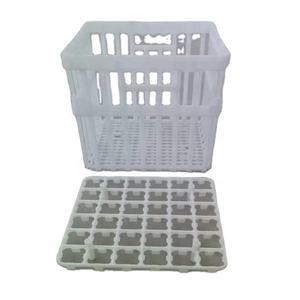 Cesta <span class=keywords><strong>de</strong></span> <span class=keywords><strong>huevos</strong></span> <span class=keywords><strong>de</strong></span> PP <span class=keywords><strong>de</strong></span> 330x325x400mm con agujeros, jaula para pollos, caja <span class=keywords><strong>de</strong></span> transporte <span class=keywords><strong>de</strong></span> <span class=keywords><strong>huevos</strong></span>, portador <span class=keywords><strong>de</strong></span> entrega <span class=keywords><strong>de</strong></span> pollitos, incubadora <span class=keywords><strong>de</strong></span> pollos para incubar - Product Image 6
