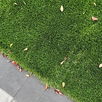 Herbe fraîche pour animaux de compagnie pour chats et chiens pelouse synthétique en gazon naturel pour jardin décoratif extérieur