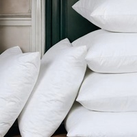 Design moderne Décoration de maison simple Coussin de canapé Coussin de chaise